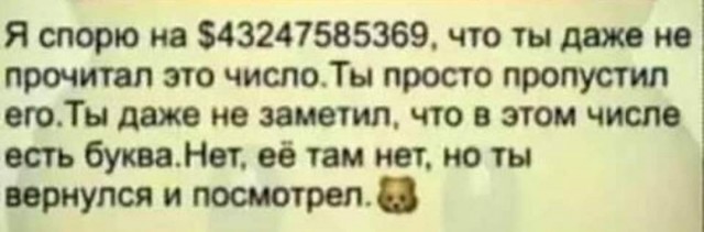 15303280.jpg