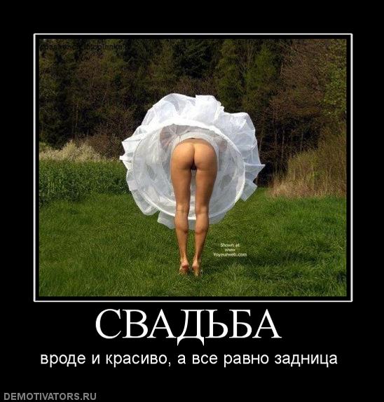 66038172_340857_svadba.jpg