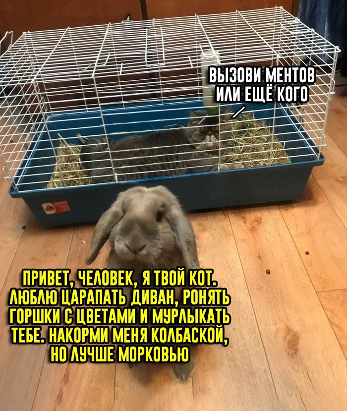 DEPfv5uuq0s.jpg