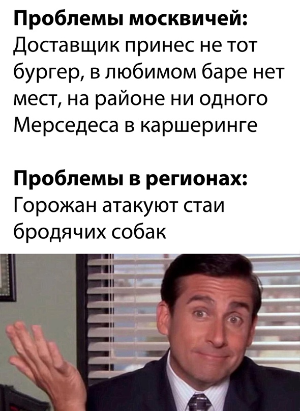 15307392.jpg