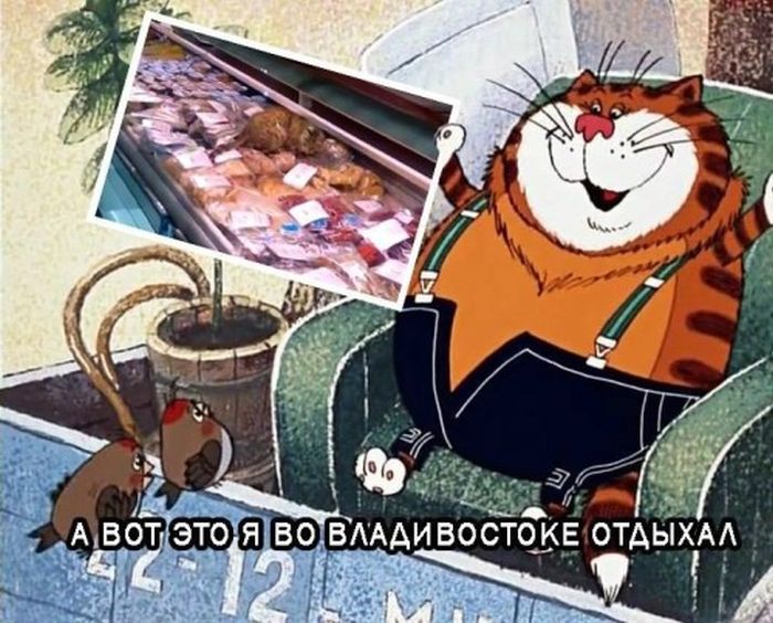 podborka_50.jpg