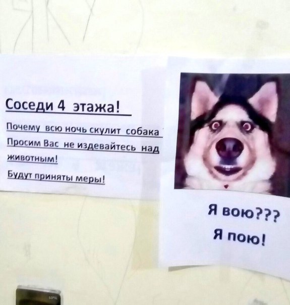 EBFoUk2XrwU.jpg