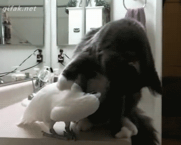 tumblr_nf535v8P2O1s2yegdo1_400.gif